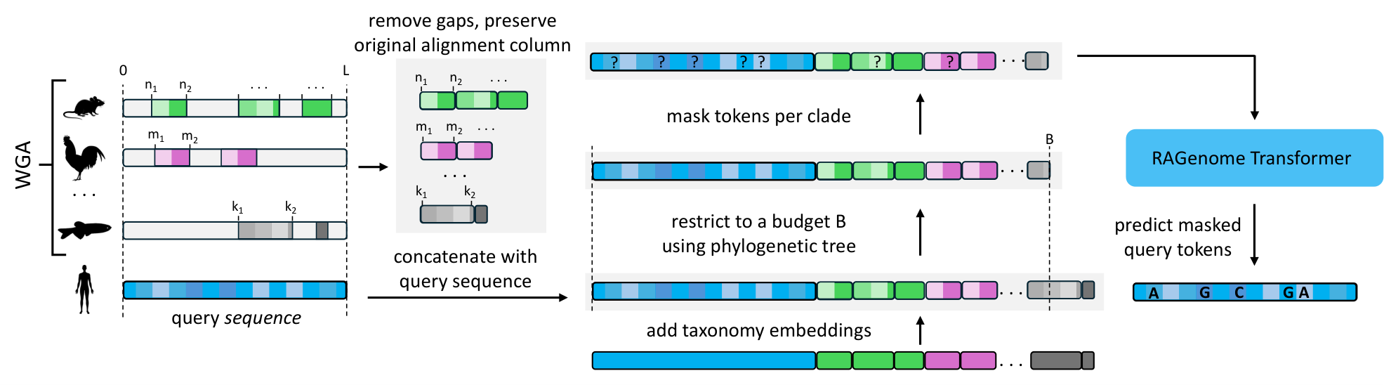 ragenome.png
